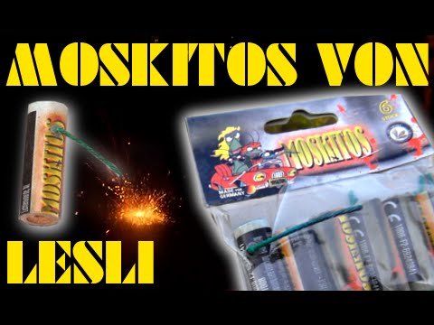 Lesli Moskitos (aggressive, laut summende Bienen) Top Neuheit 2014